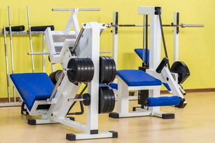 智能健身助手 多媒體產品詳解健身器械使用與參數